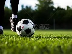 国际媒体公,知名导演罗,米歇尔离世,星际娱乐官网,星际娱乐官网全球信赖,星际娱乐官网在线娱乐平台,星际娱乐官网玩家首选,星际娱乐官网星际娱乐,星际娱乐官网游戏平台